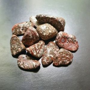 Яшма леопардовая каменная галька, размер в пределах 1х3 см.