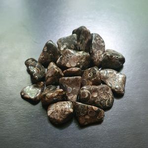 Агат черепаховый каменная галька, размер в пределах 1х1,5 см.